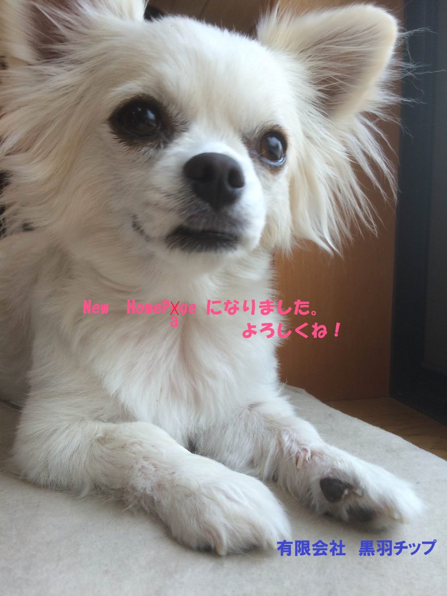 HPリニューアル